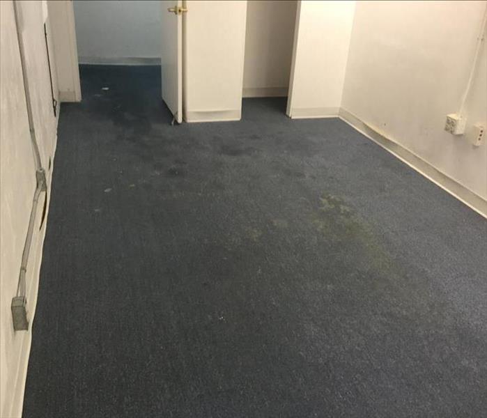 office with wet carpet and drywall